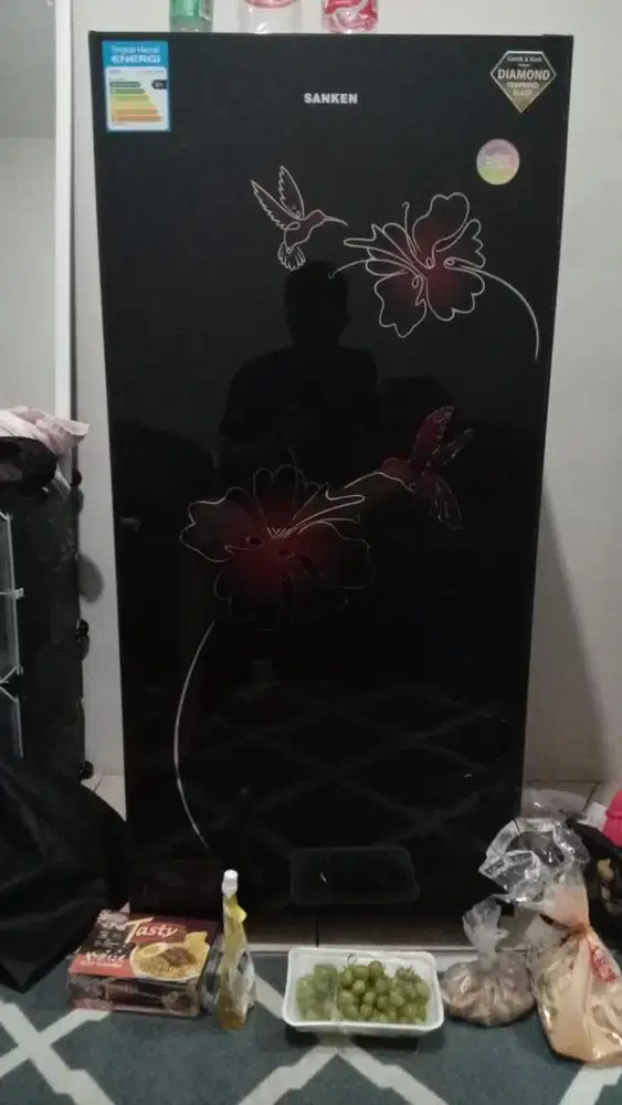 kulkas sanken 1 pintu