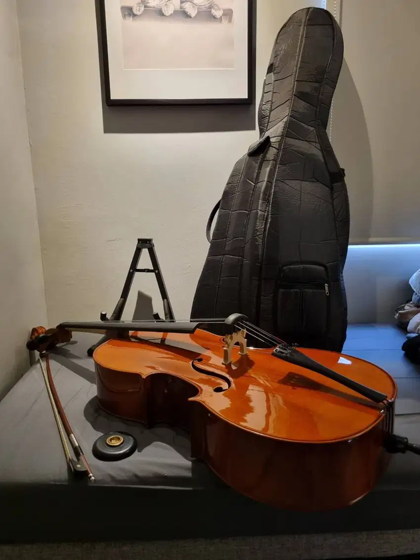 Cello 4/4 Pearl River, bow, stoper, stand, mute rubber, soft case