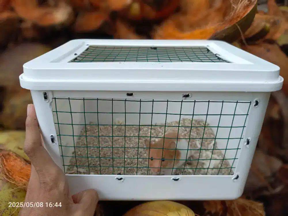 KANDANG HAMSTER/MENCIT/REPTILE DIY