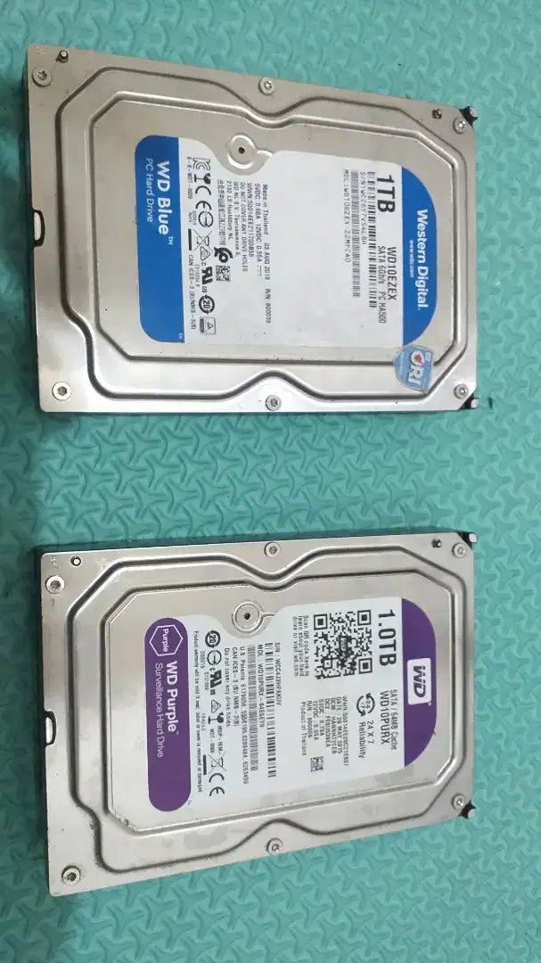 Hardisk WD 1TB Sentinel 100%