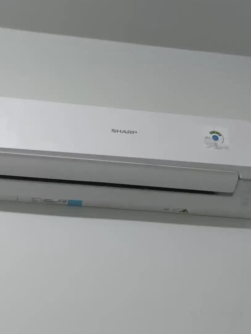 AC Sharp 1/2 PK