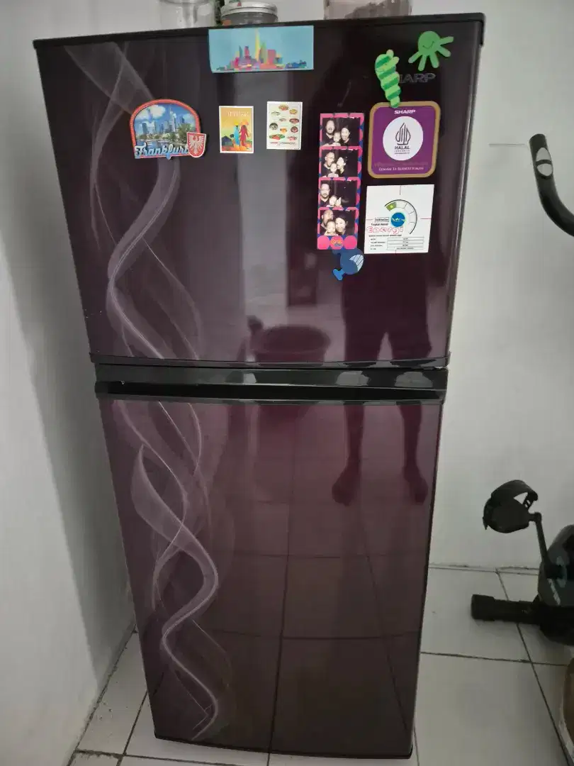 Kulkas Sharp 2 pintu