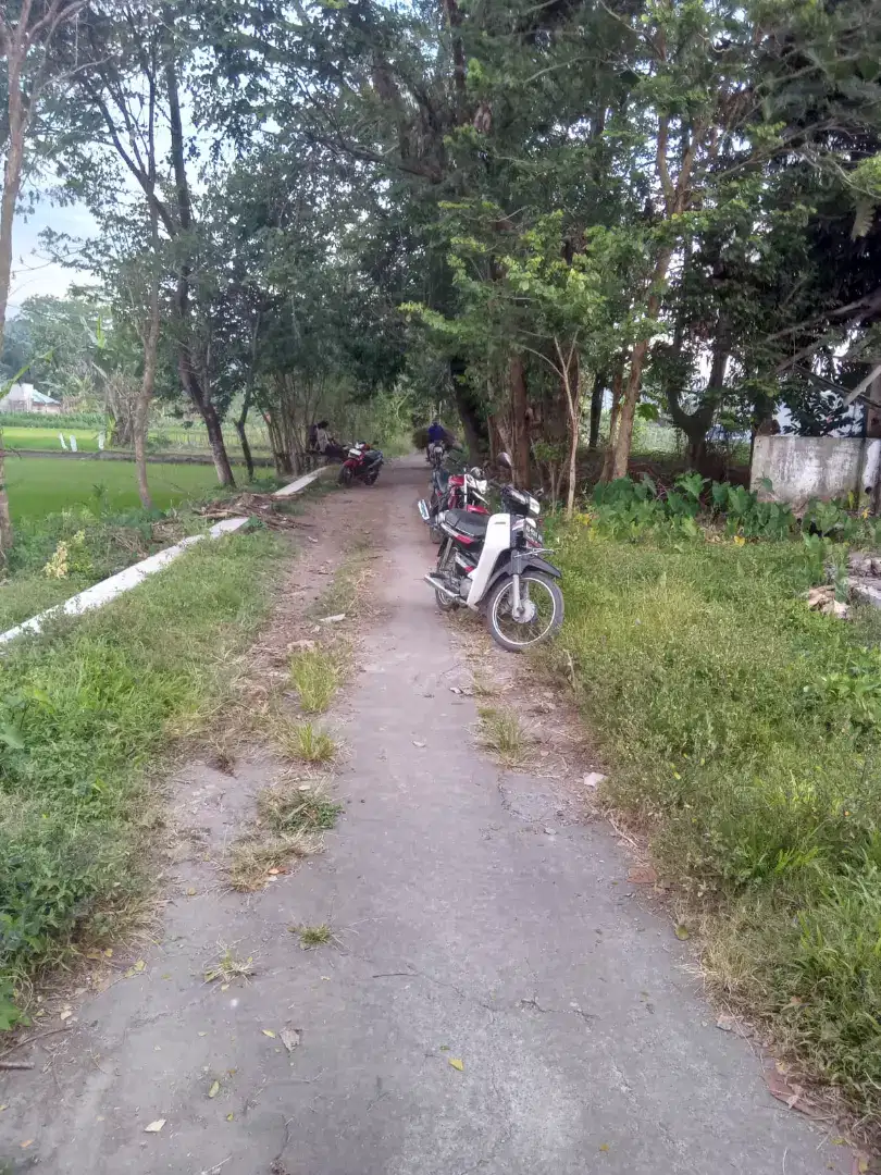 Tanah murah di sumberharjo prambanan