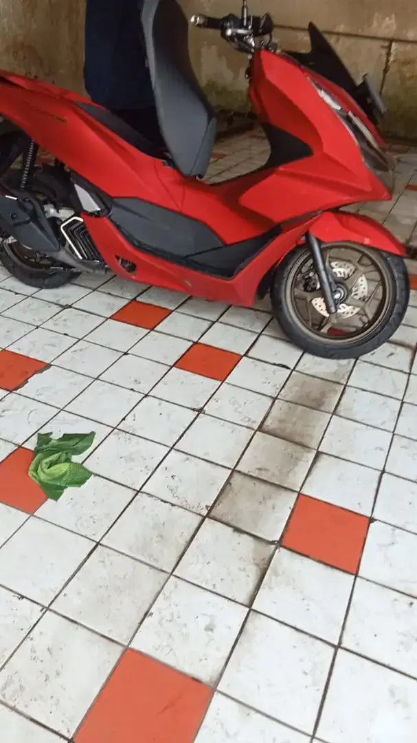 Honda Pcx 2024 Abs