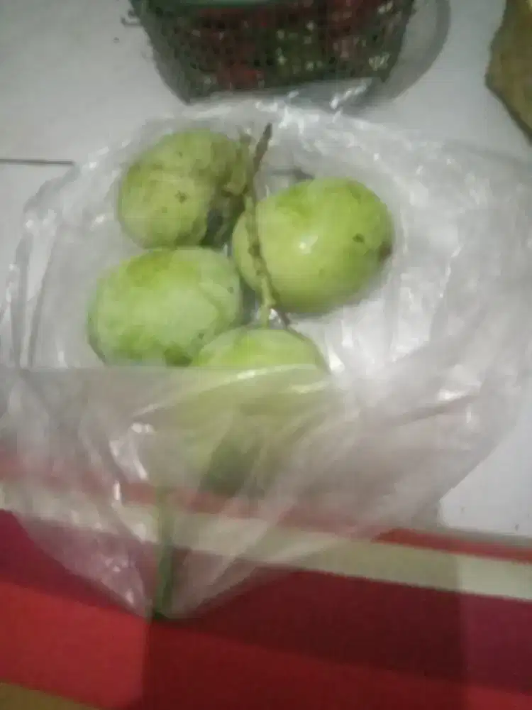 sy cari kerja art atau momog anak pp