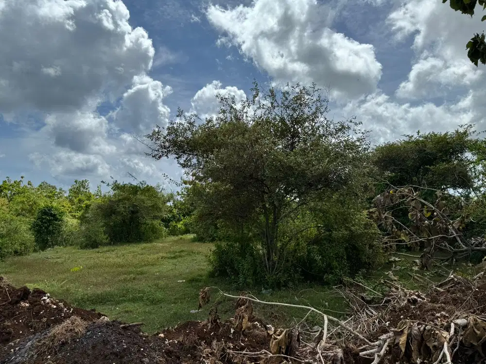 New Land For Leasehold Bingin Uluwatu