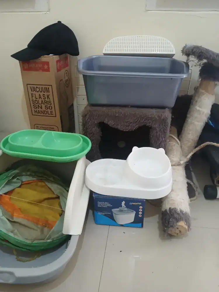 Perlengkapan kucing nego sampe jadi