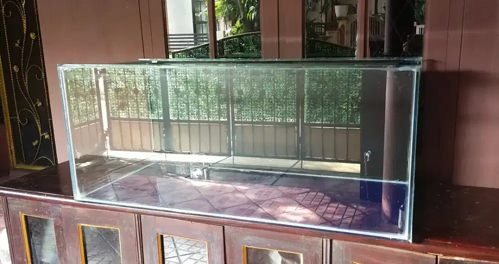 tank akuarium ikan besar