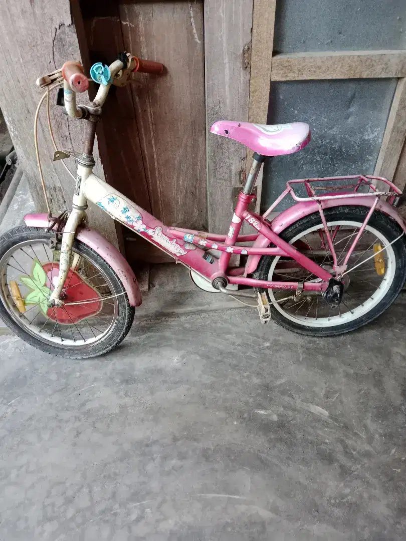 Sepeda mini wim cycle 18