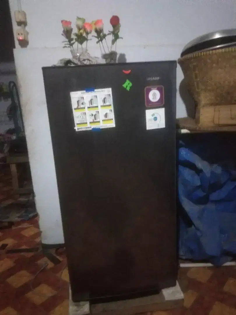 kulkas sharp 1 pintu