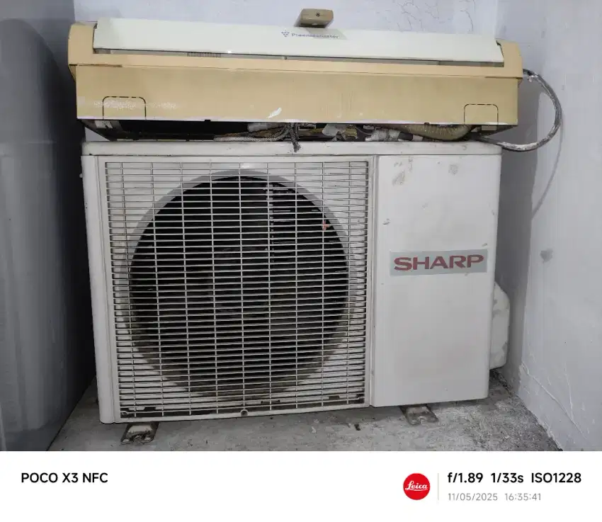 AC Sharp 1 pk normal