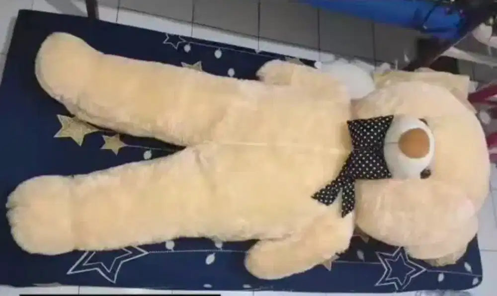 BEAR BESAR ±2 meter ISBON