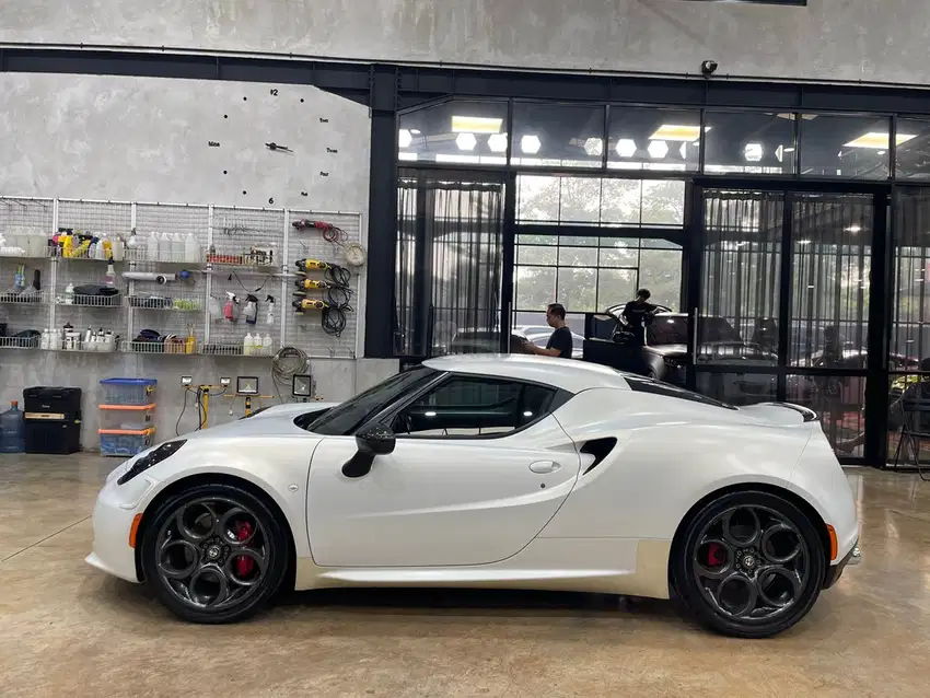 Alfa Romeo 4C (Ultra Rare Super Car)