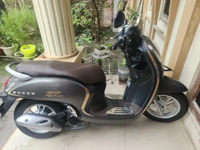 Scoopy keyless coklat 2021 gbm