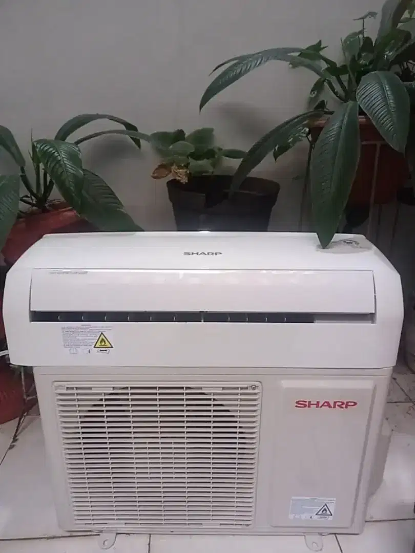 AC Sharp 1/2 PK