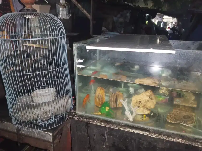 Aquarium komplit pajangan Aerator ikan mas dan sangkar burung