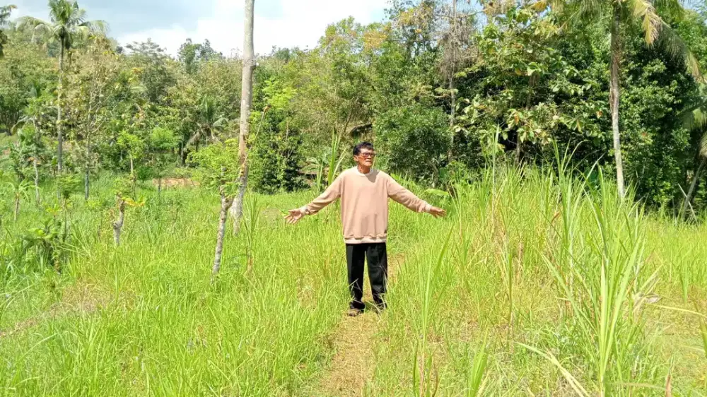 Jual tanah subur terawat di Girisekar