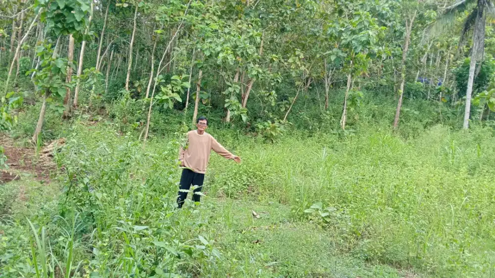 Jual tanah murah di panggang  gunung kidul