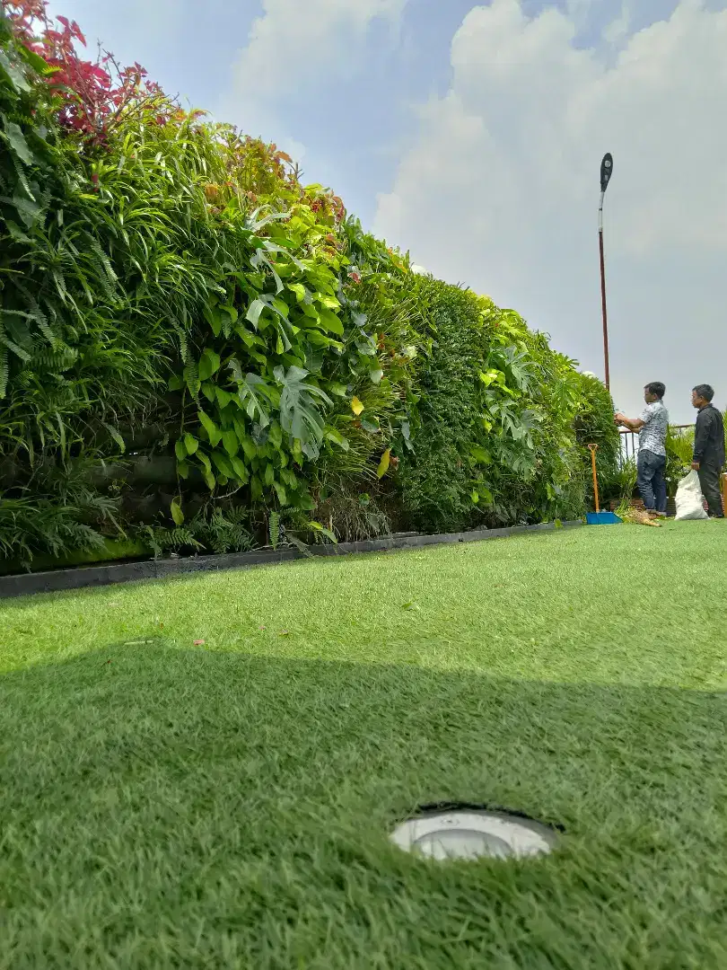 pembuatan taman Vertical gardone/taman dinding