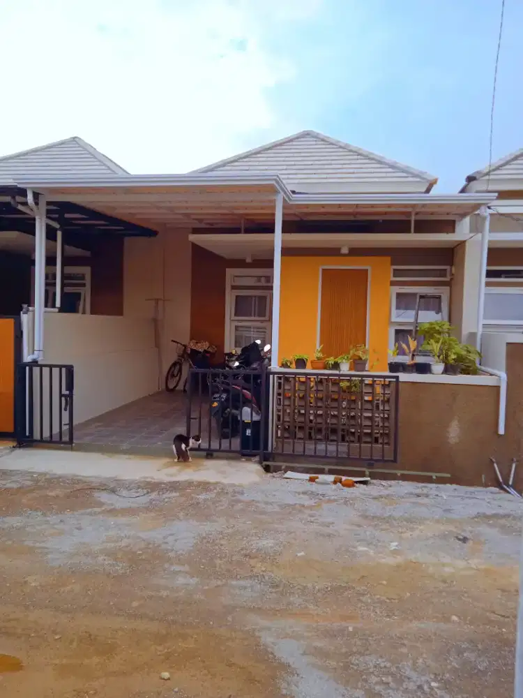 Kanopi Alderon minimalis