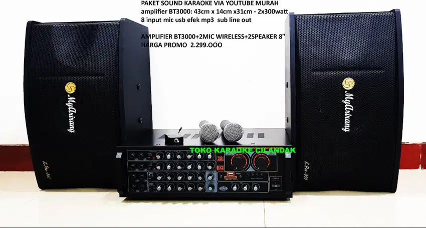 AMPLIFIER BT3000+2MIC WIRELESS+2SPEAKER 8