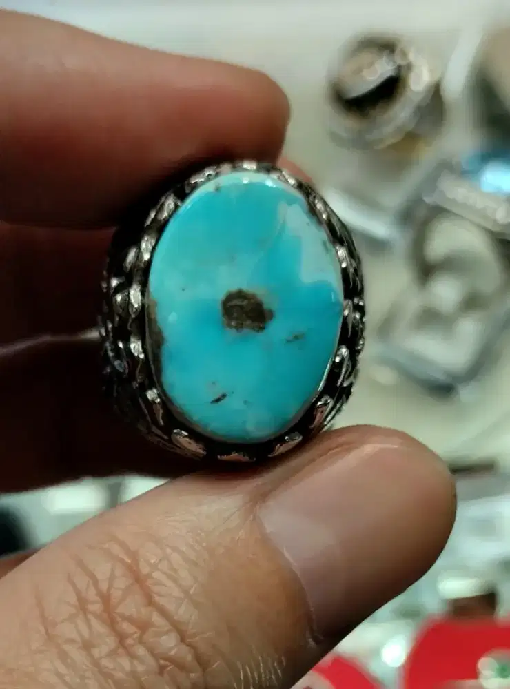 pirus persia blue fancy
