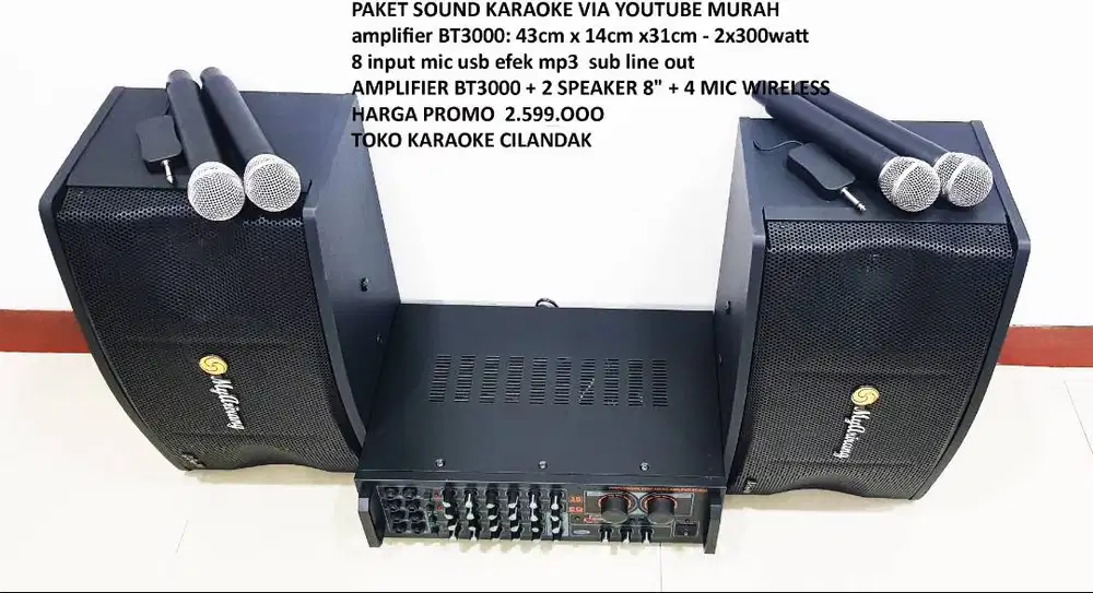 AMPLIFIER BT3000 + 2SPEAKER 8 + 4 MIC WIRELESS
