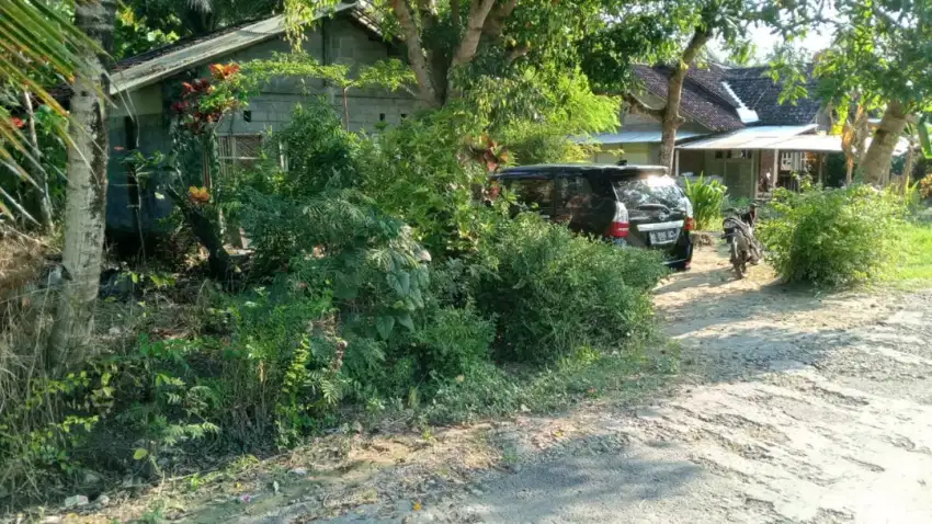 Jual tanah bonus rumah di sentolo