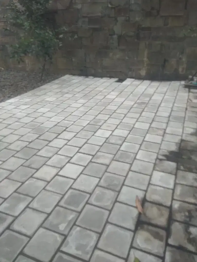 Ahlinya dalam pemasangan paving