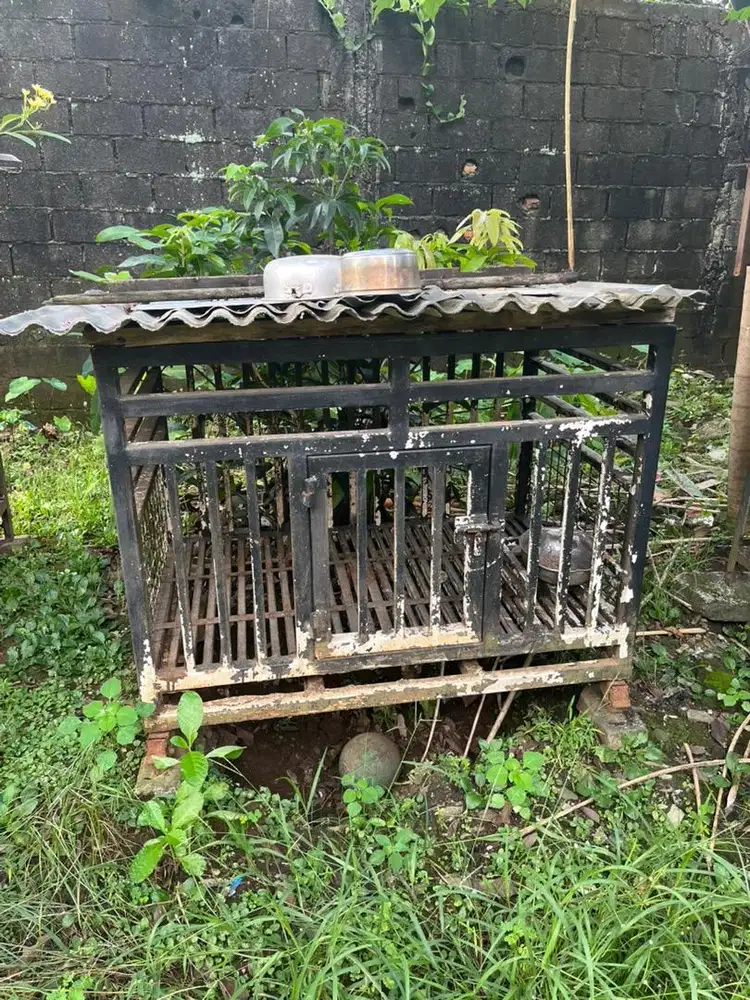 Dijual Kandang anjing