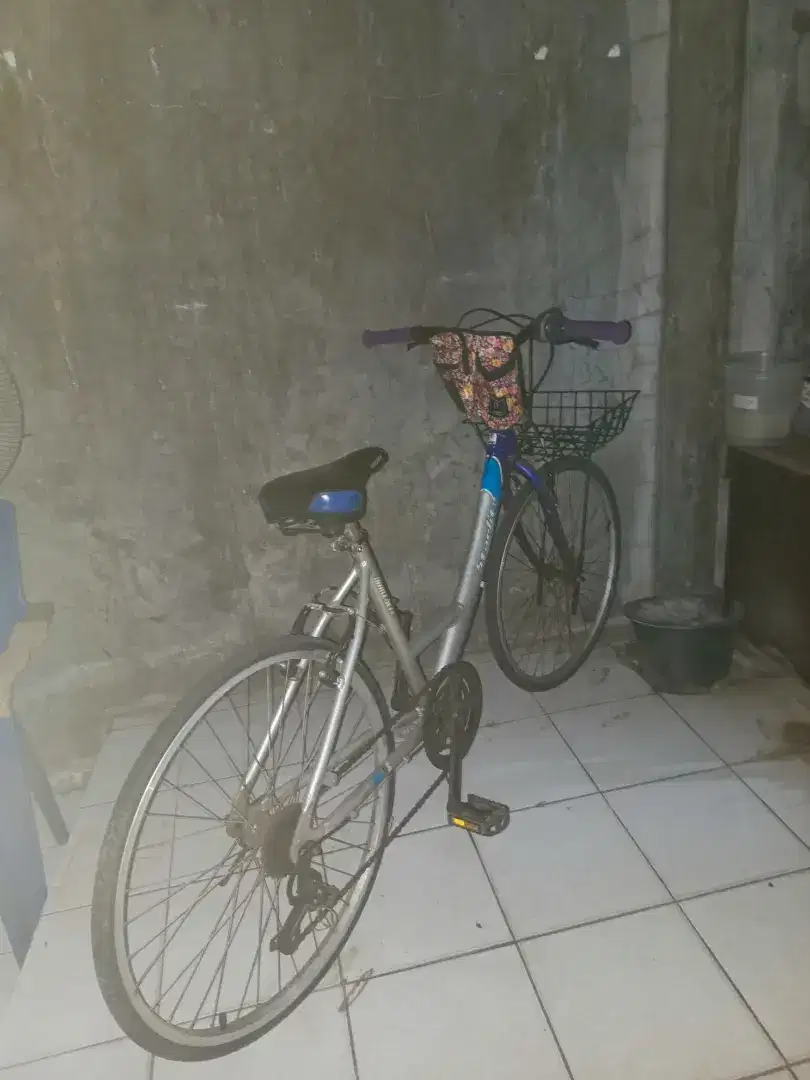 Sepeda Wanita Dewasa