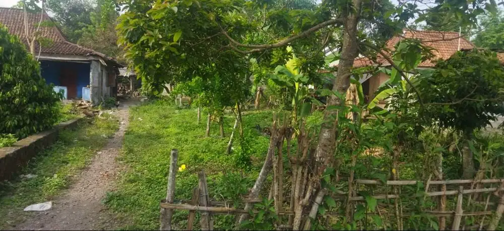 TANAH DIJUAL. NEGO PAKAI BANGET!