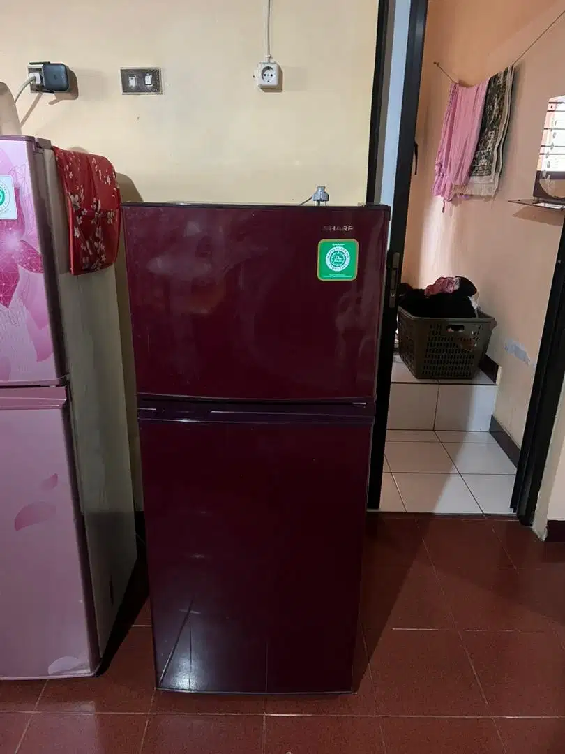 Kulkas sharp 2 pintu SJ - 195 no frost