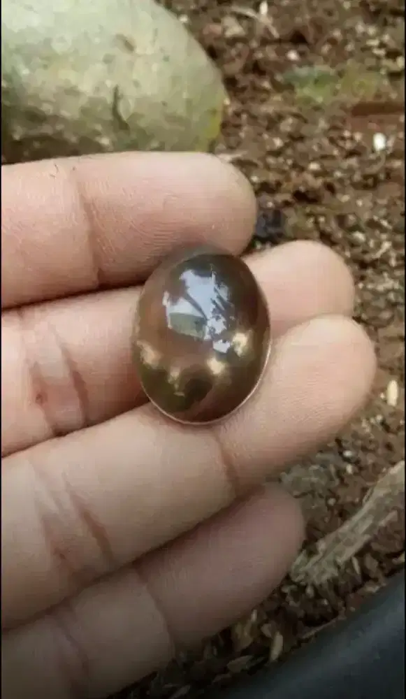 Batu permata Smoky Quartz jumbo (berserat)