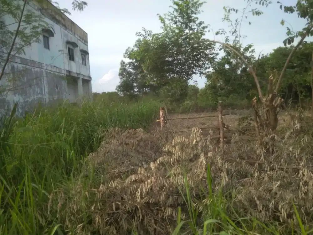 Bangun Ruko atau Investasi