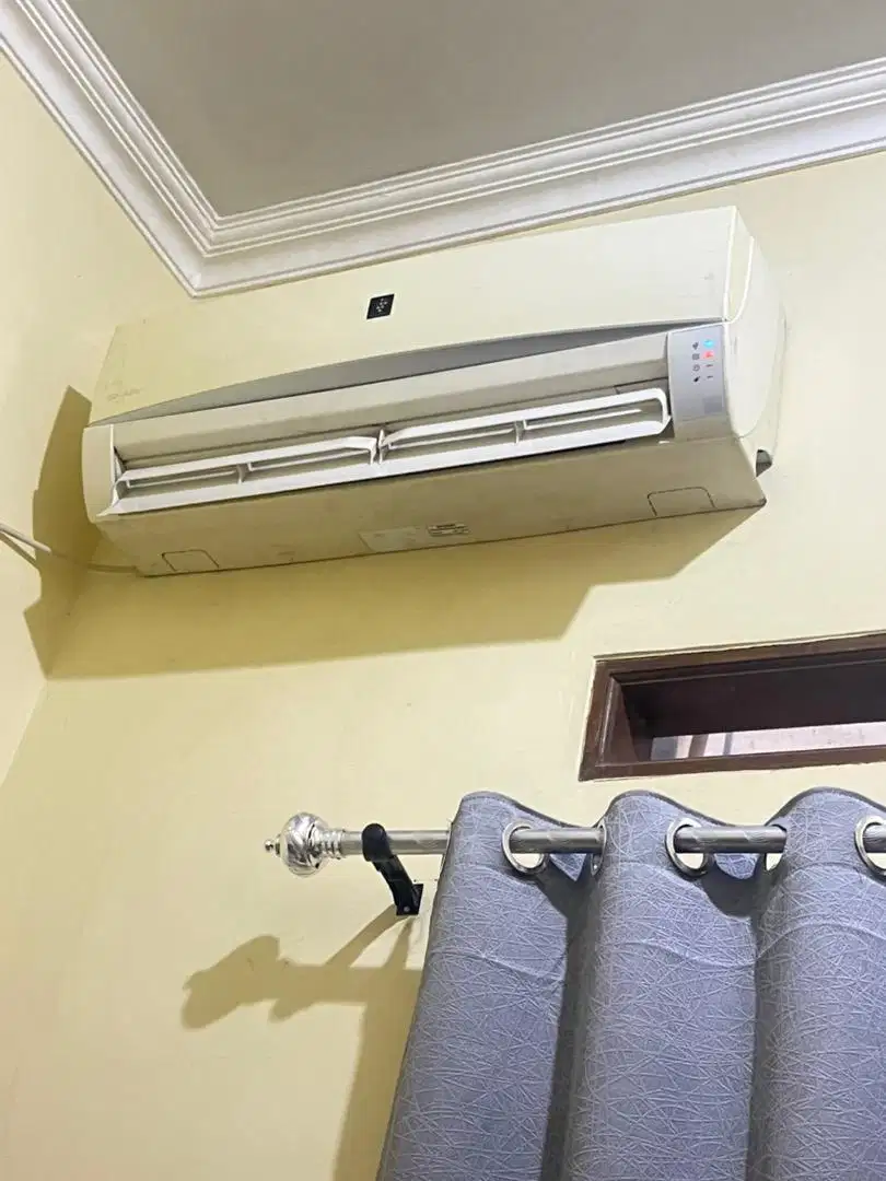 Ac sharp 1/2 pk