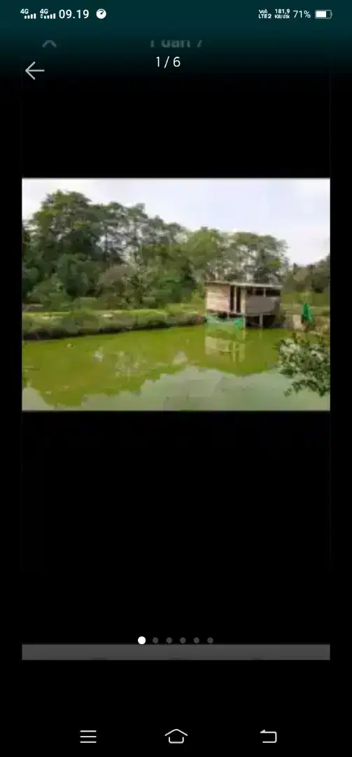 Dijual tnh + kolam ikan Nurdin panji