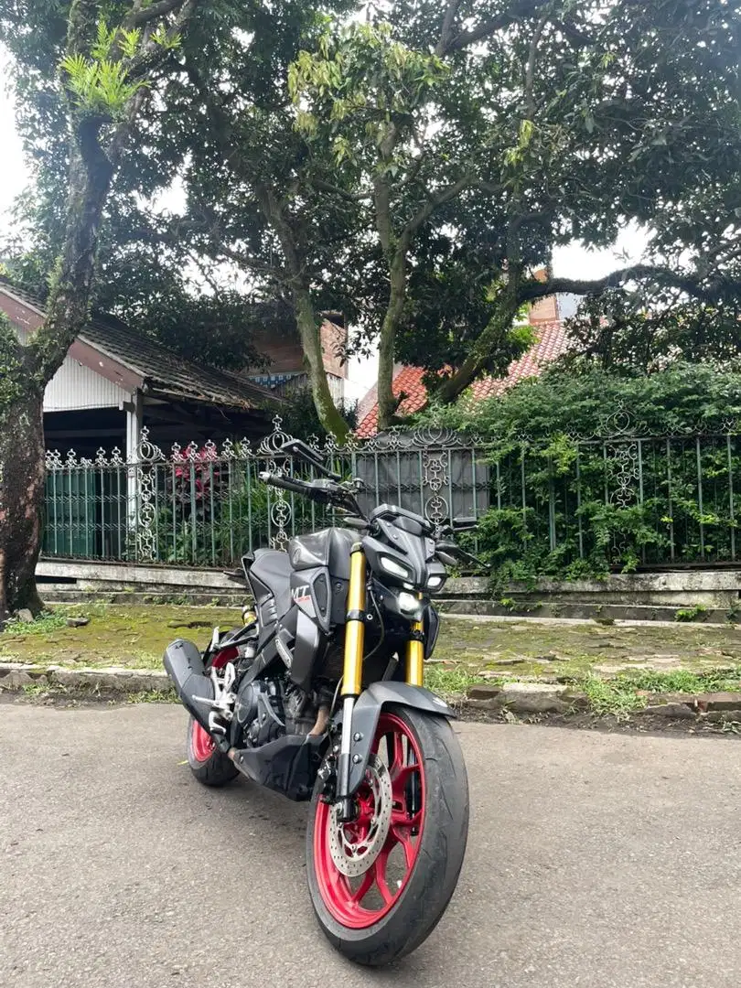 Yamaha MT 15 2019