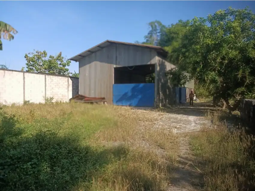 Dijual Gudang Jln Samben Wetan Sumput Driyorejo Gresik