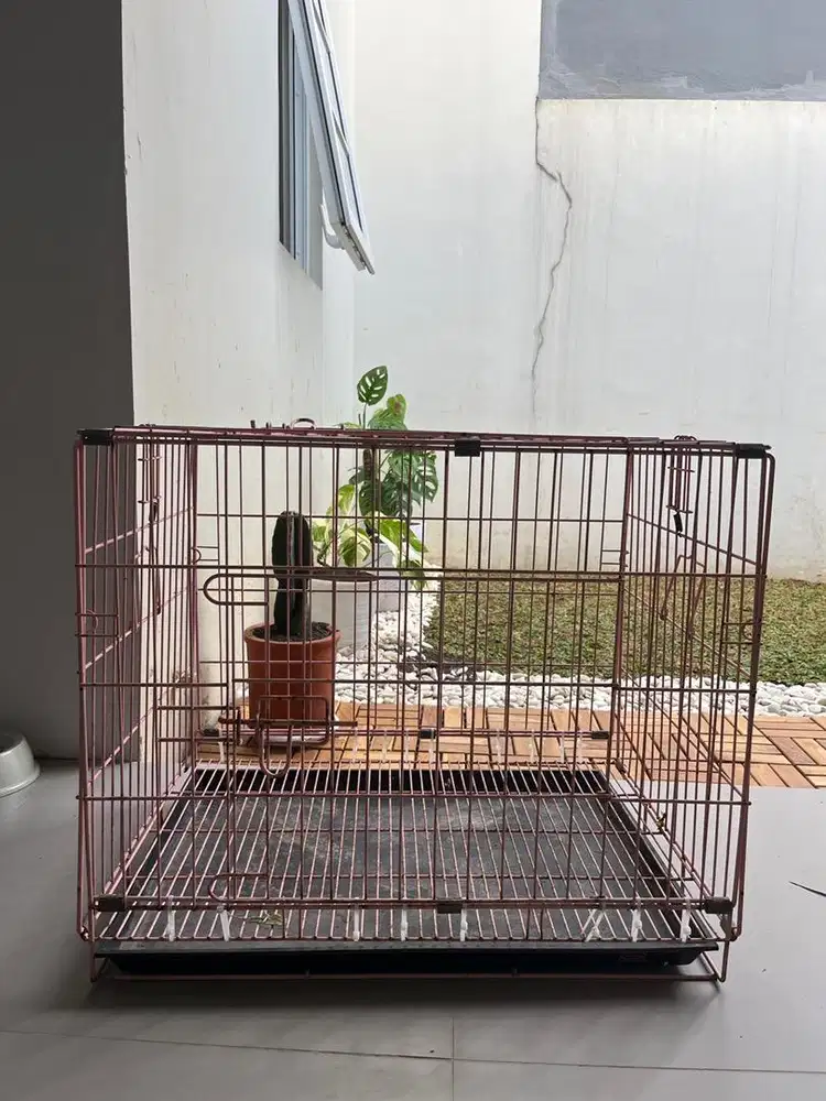 Kandang kucing kokoh