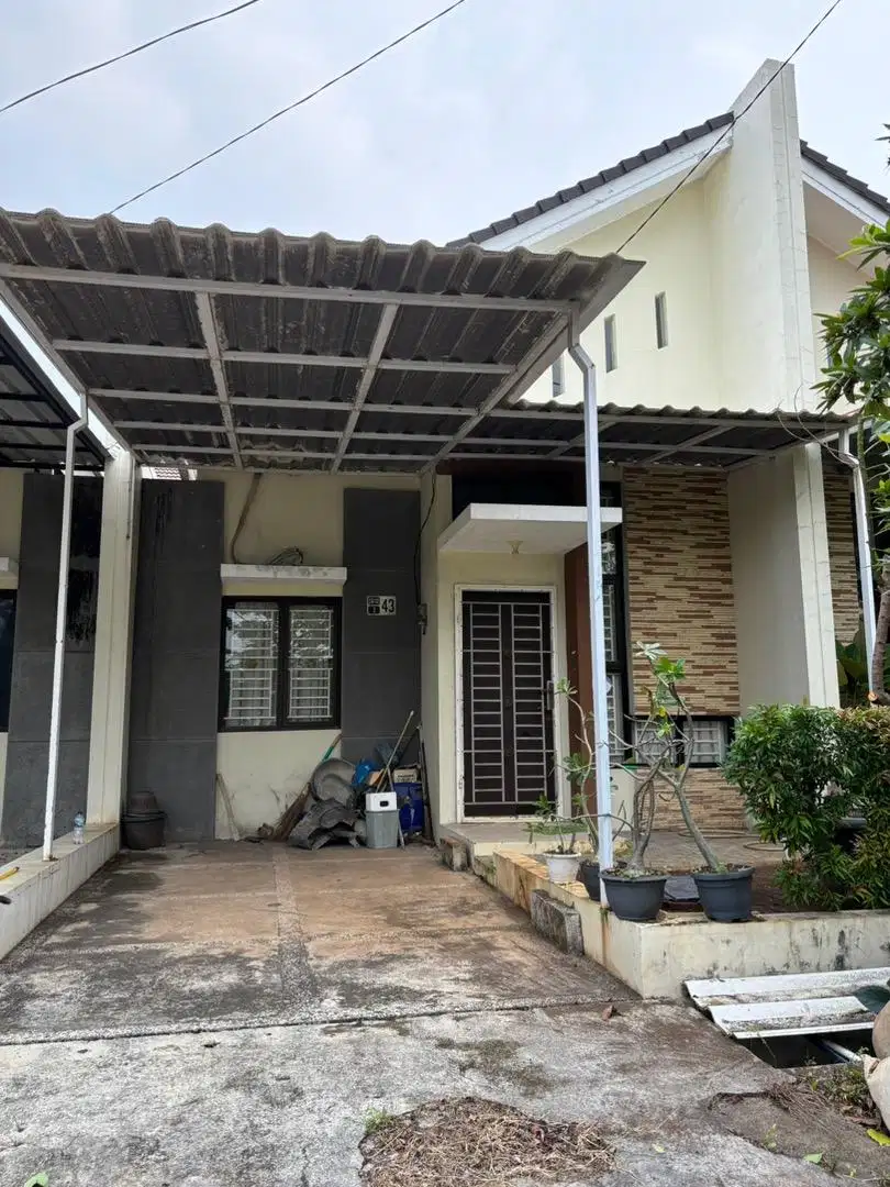 Rumah disewakan