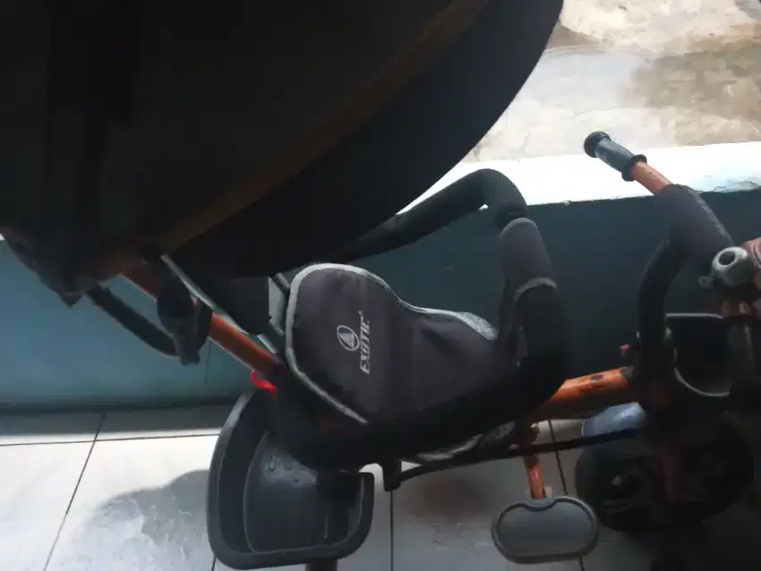 Stroller exotic