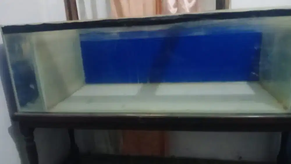 Aquarium ,cocok utk pelihara ikan Arwana