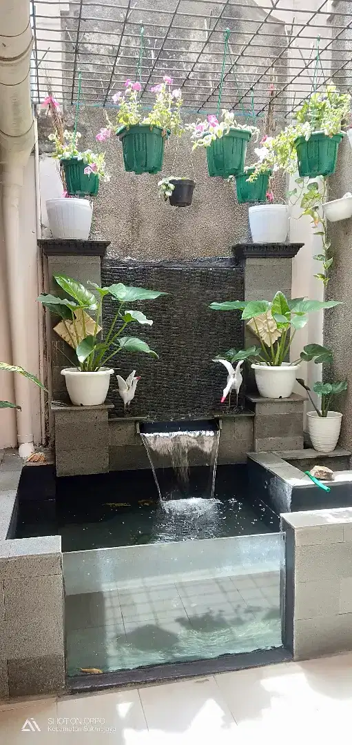 Tukang kolam ikan minimalis