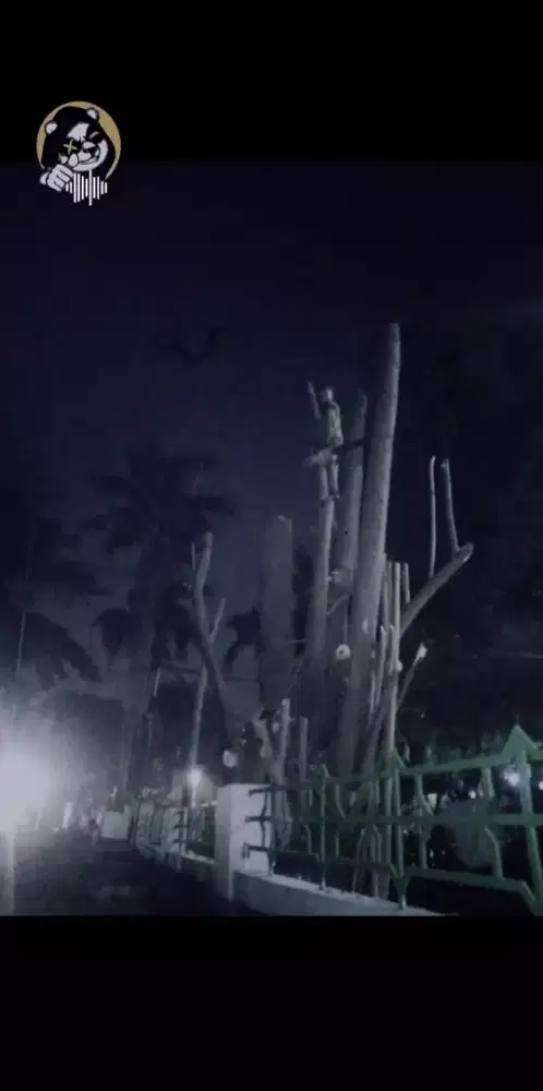 *Menerima Jasa tebang dan pangkas pohon se-Jakarta timur.*