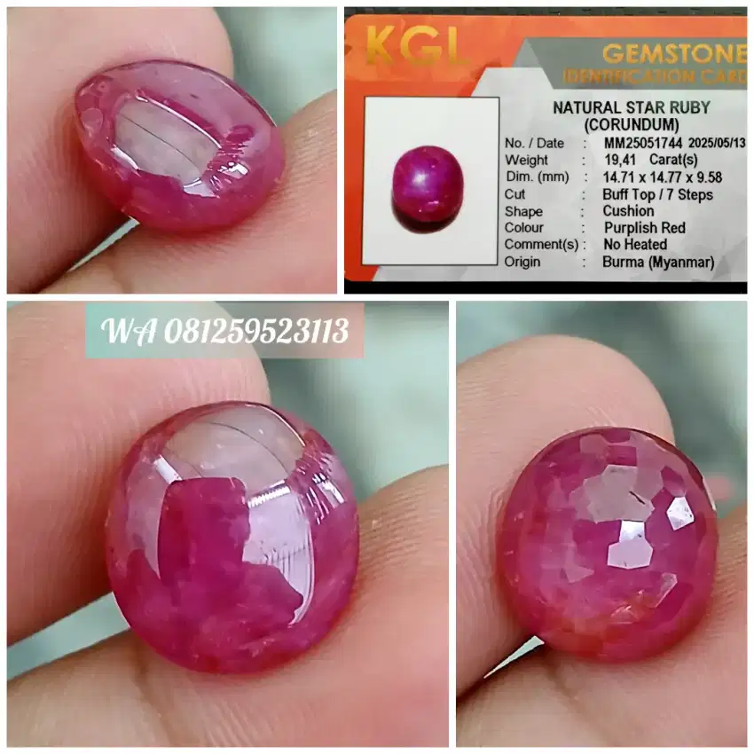 Star Ruby Burma 19,4cts NoHeated Jumbo Size Top Color