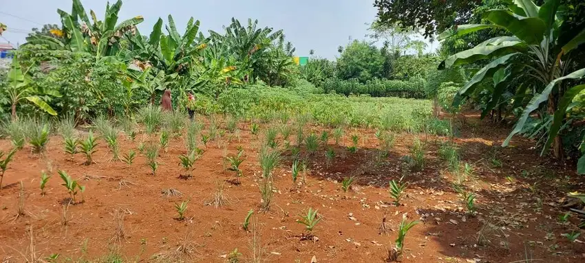Dijual Tanah Berlokasi Dekat Perum PASPAMPRES, Jalan Sudah Diaspal