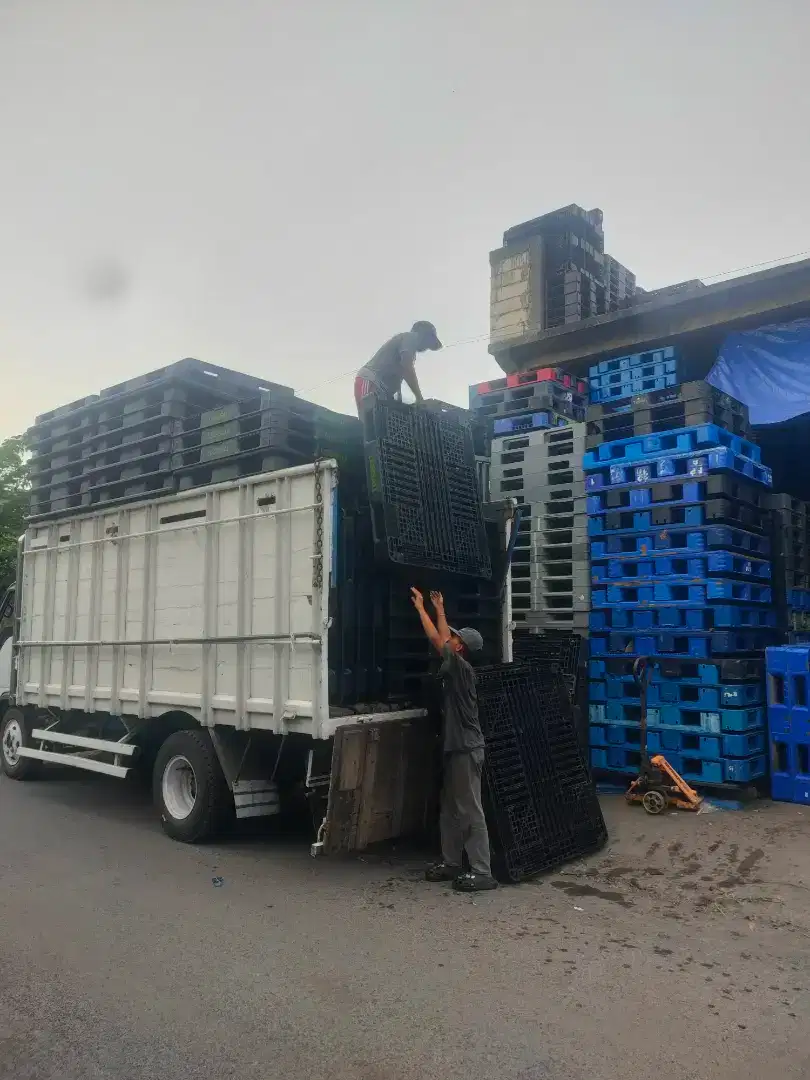 Rayhan Pallet Plastik second bagus dan murah