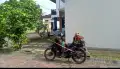 Potong rumput panam sekitar