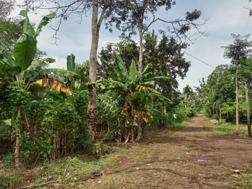 Dijual Cepat Tanah Pekarangan 1860 m2 SHM, harga bisa nego